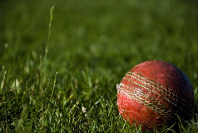 Cricket session and fancy runs markets on 99exch